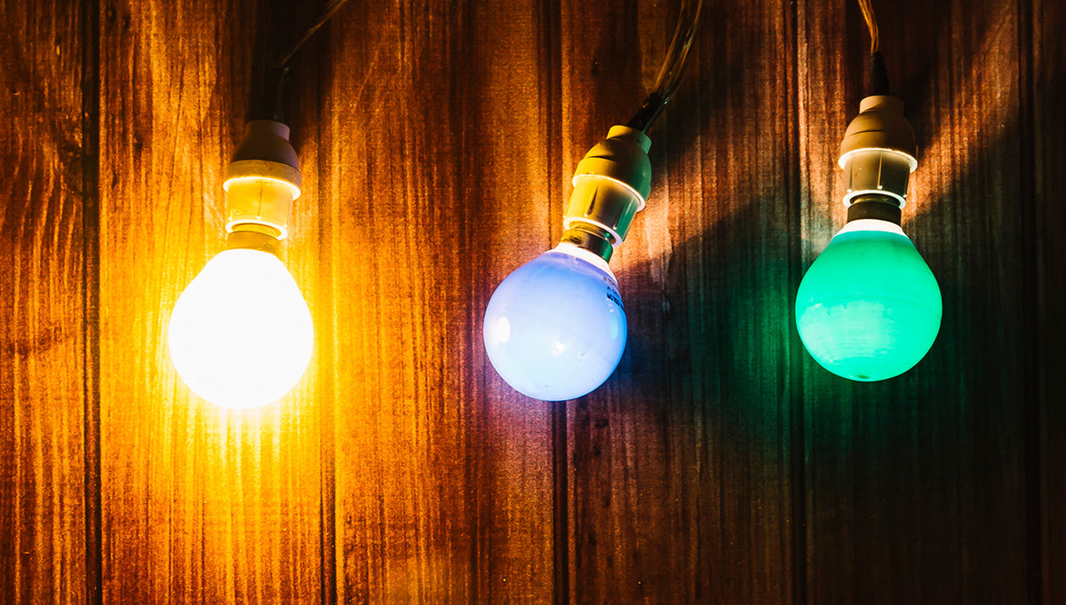 Three coloured light bulbs hanging against a wooden wall