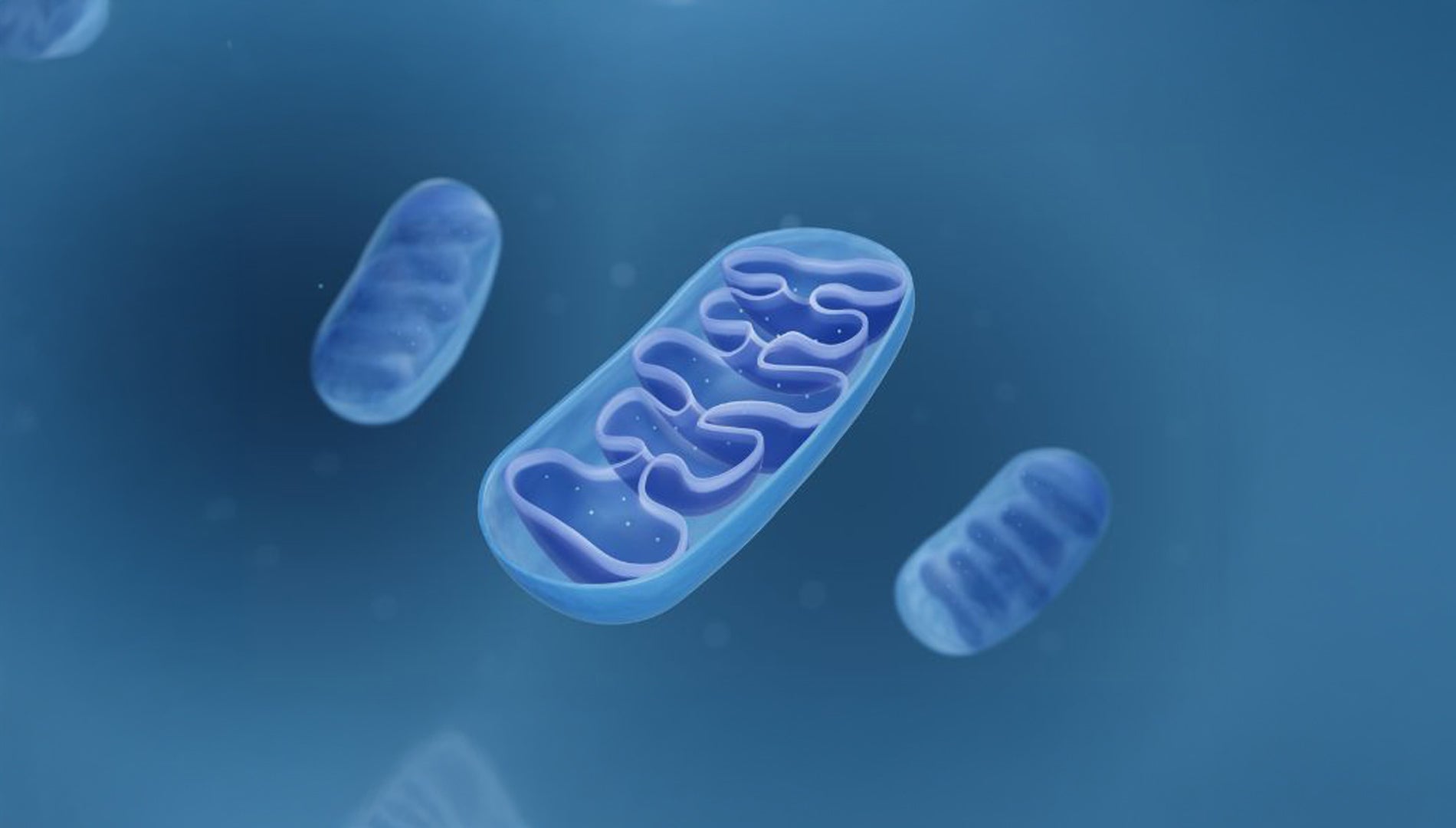 "Enhance Mitochondrial ATP Production for Cellular Energy & Anti-Aging with Celluma LED Therapy in Singapore