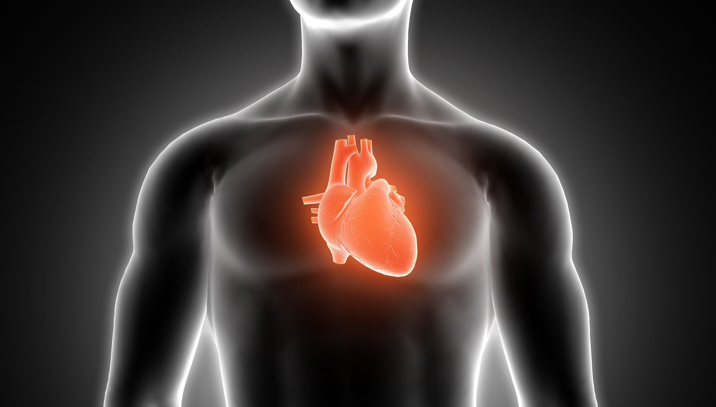 red light therapy activates mitochondria celluma