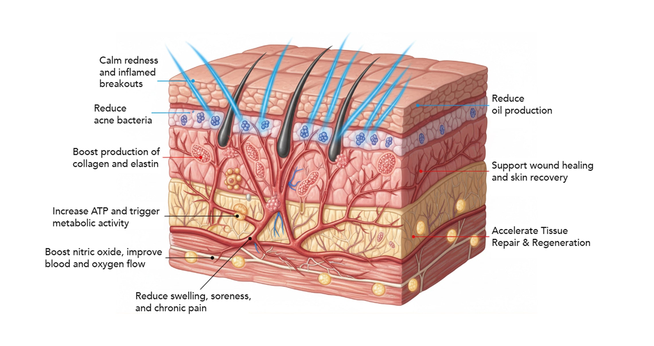 Close-up of Celluma light therapy device showing 450nm blue and red light LEDs during treatment